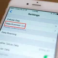 Ustawienia telefonu, opcja "Data Roaming" jest widoczna. Czy roaming trzeba włączyć, aby korzystać z danych za granicą?