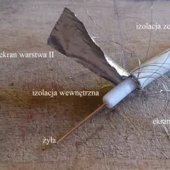 Przekrój kabla antenowego z widoczną żyłą, izolacją i ekranami. Dowiedz się, jak sprawdzić kabel antenowy miernikiem.