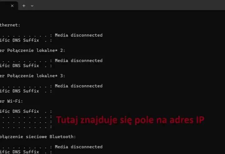 Urządzenie w sieci komputerowej któremu przypisano adres IP - co to znaczy?