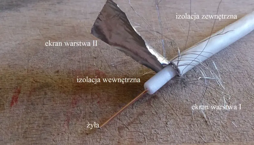 Przekrój kabla antenowego z widoczną żyłą, izolacją i ekranami. Dowiedz się, jak sprawdzić kabel antenowy miernikiem.